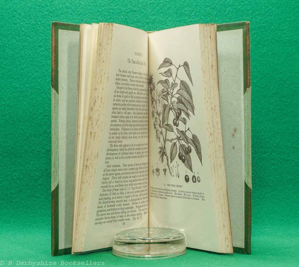 British Woodland Trees | H. L. Edlin | Batsford, 1st edtion 1944 | Leather Binding British Woodland Trees | H. L. Edlin | Batsford, 1st edtion 1944 | Leather Binding