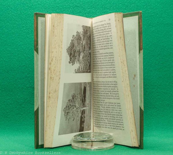 British Woodland Trees | H. L. Edlin | Batsford, 1st edtion 1944 | Leather Binding British Woodland Trees | H. L. Edlin | Batsford, 1st edtion 1944 | Leather Binding