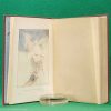 Fairy Stories from Hans Christian Andersen | Ward, Lock & Co., Limited, 1st edition 1917 | illustrated by Margaret W. Tarrant